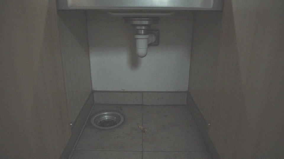 Co przyciąga karaluchy do naszych domów?