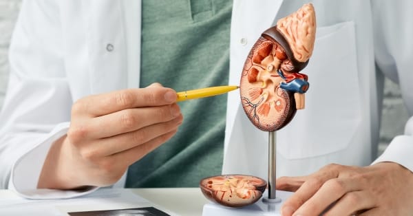 Wizyta u urologa – kiedy nie zwlekać i jak wygląda diagnostyka